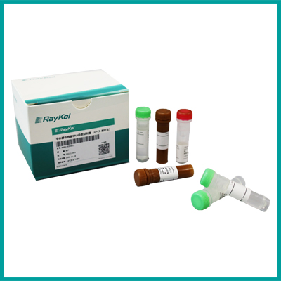 毕赤酵母残留DNA检测试剂盒（qPCR-探针法）
