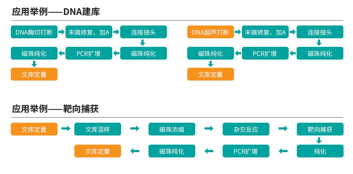 壹号娱乐