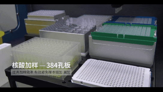 9.gif 壹号娱乐