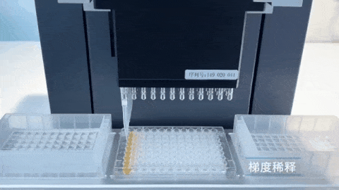 5.gif 壹号娱乐