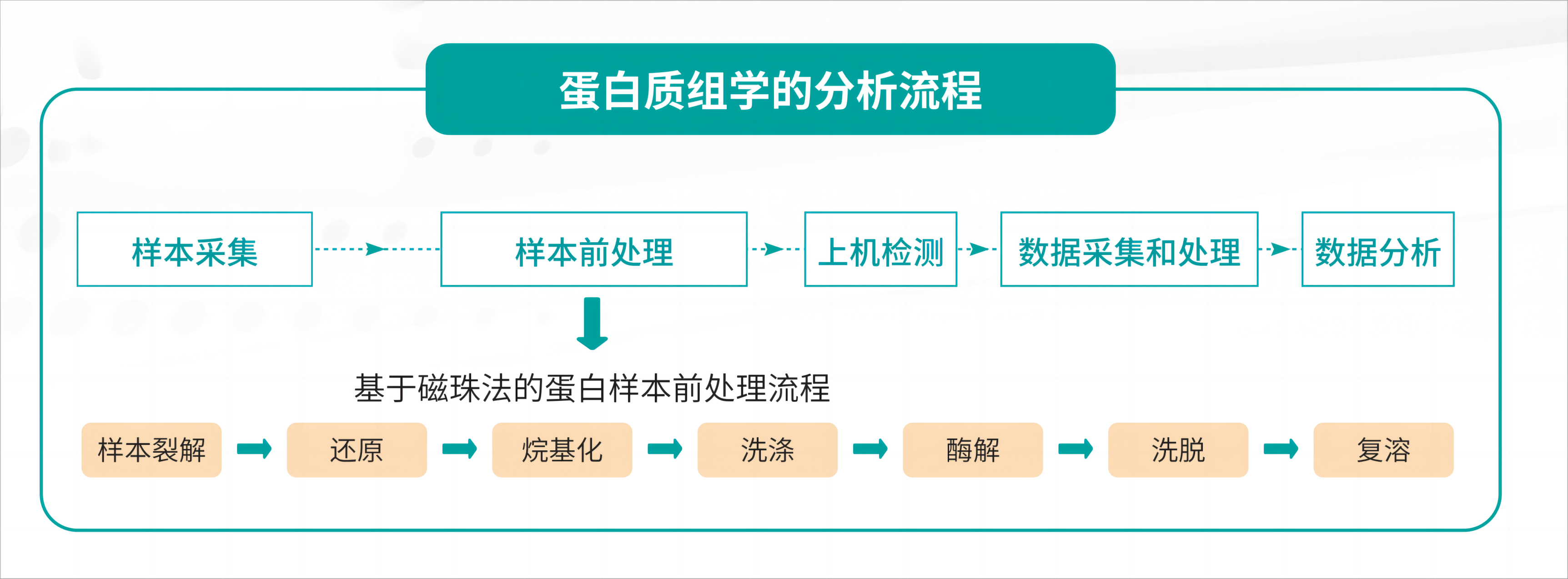 壹号娱乐_蛋白质样本前处理解决方案_01(1)(1).png 壹号娱乐_蛋白质样本前处理解决方案_01(1)(1).png