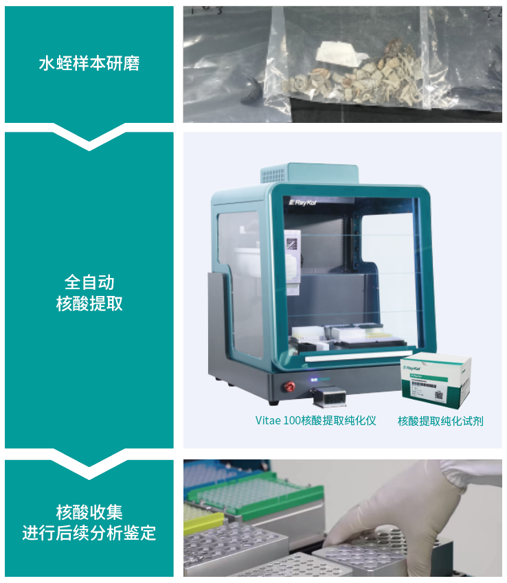97f08bd45d5324ee728125eb9e9aeff.png 壹号娱乐