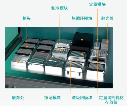 壹号娱乐