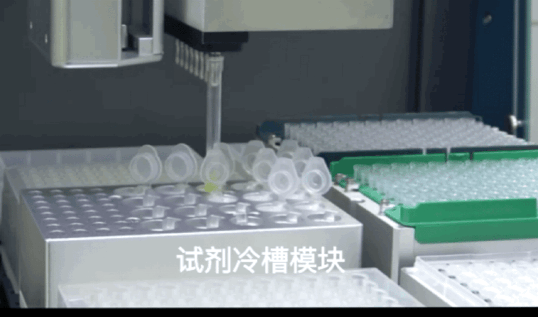 7.gif 壹号娱乐