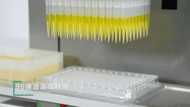 2.gif 壹号娱乐