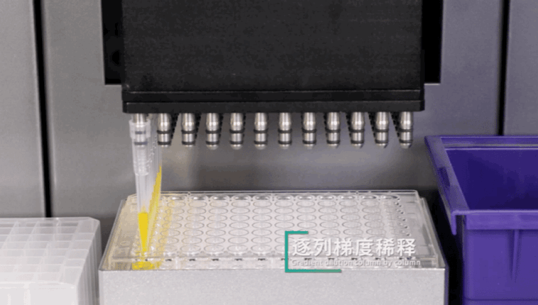 4.gif 壹号娱乐