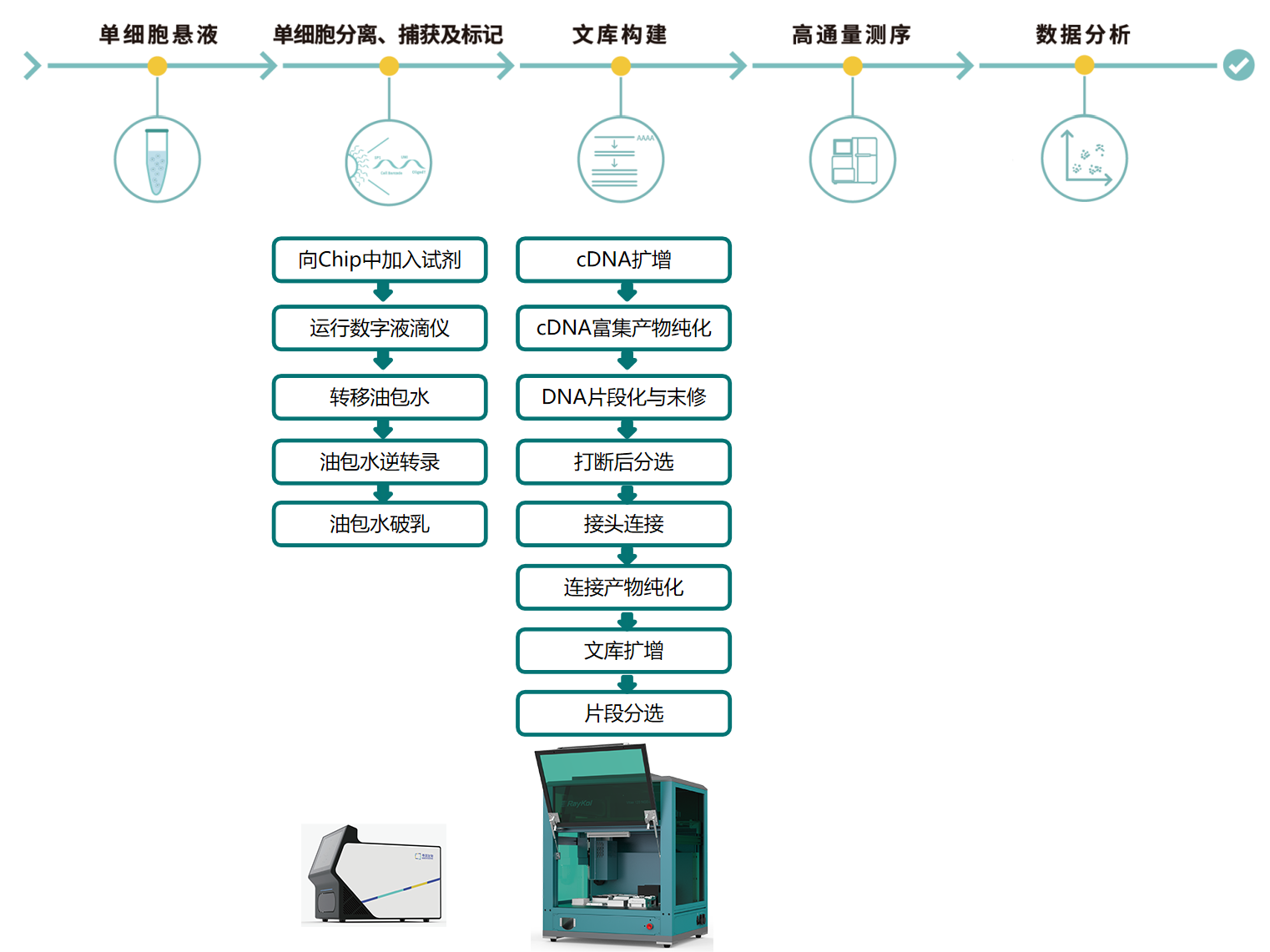 1.png 壹号娱乐