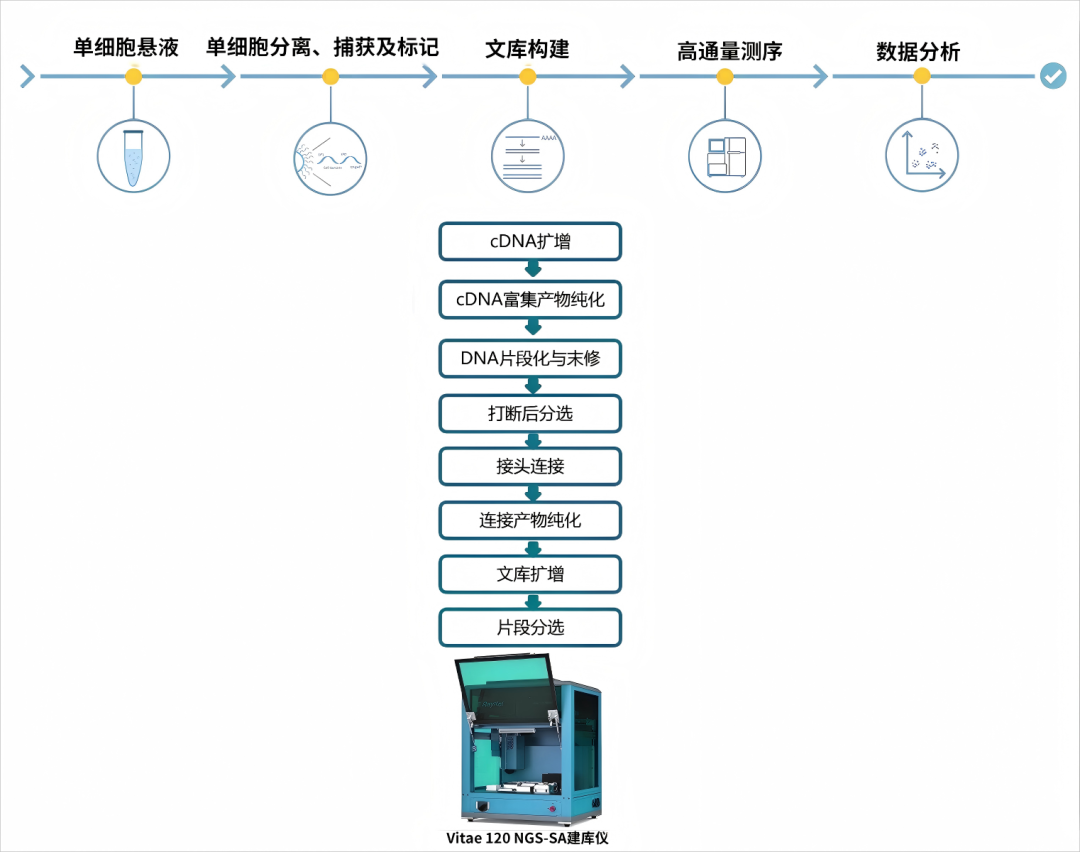 20.png 壹号娱乐