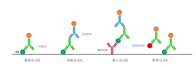 1.png 壹号娱乐