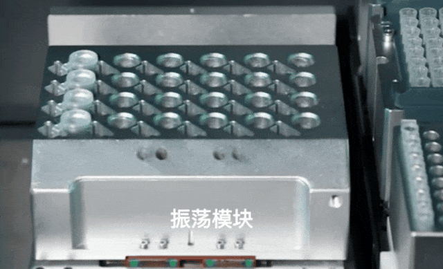 5.gif 壹号娱乐