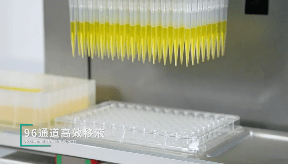 2.gif 壹号娱乐