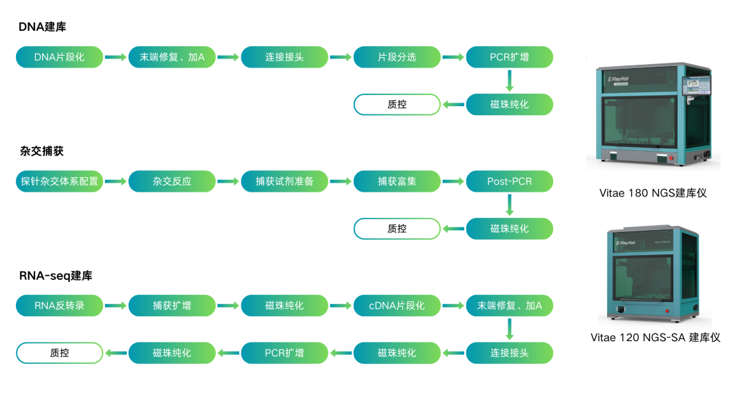 3.png 壹号娱乐