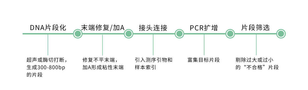 10.png 壹号娱乐