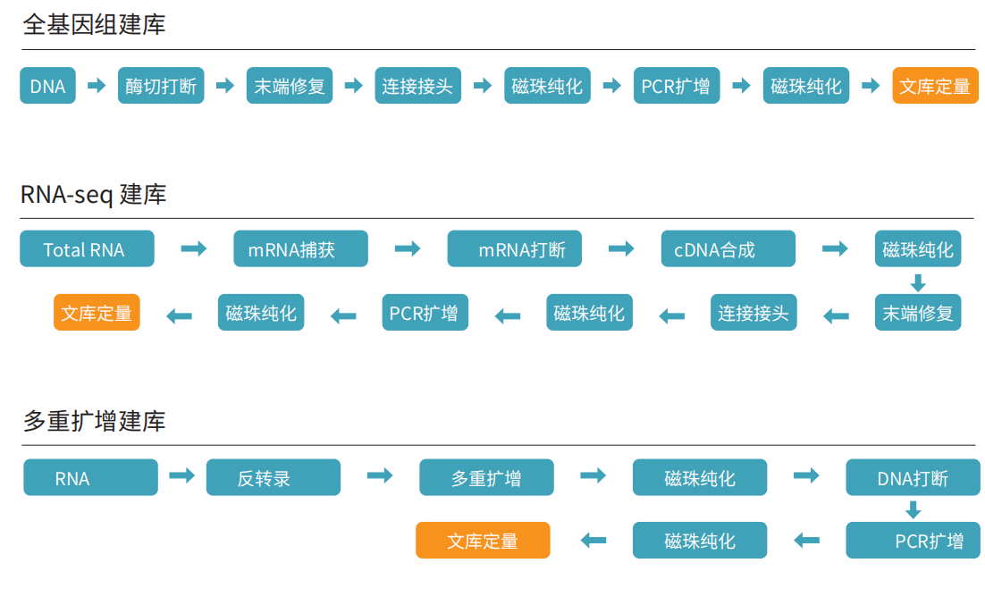 壹号娱乐_Vitae 180 NGS-96建库仪 202504_03(1).png 壹号娱乐_Vitae 180 NGS-96建库仪 202504_03(1).png