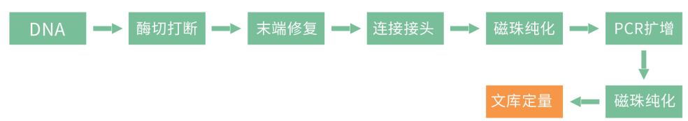4.png 壹号娱乐