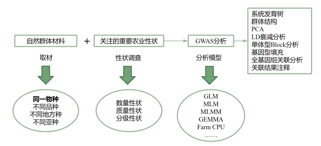 1.png 壹号娱乐