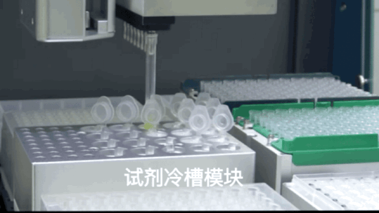 3.gif 壹号娱乐