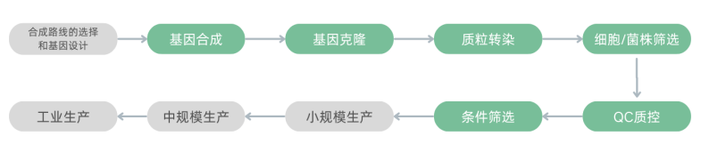1.png 壹号娱乐