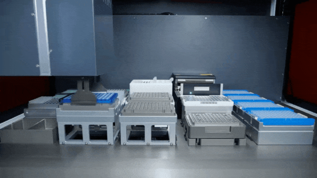 4.gif 壹号娱乐