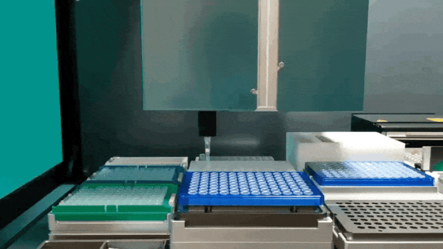7.gif 壹号娱乐