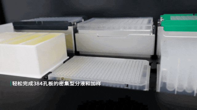 3.gif 壹号娱乐