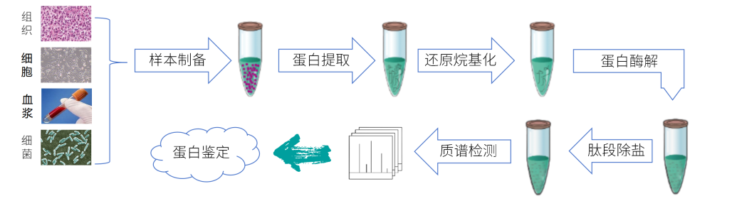 1.png 壹号娱乐