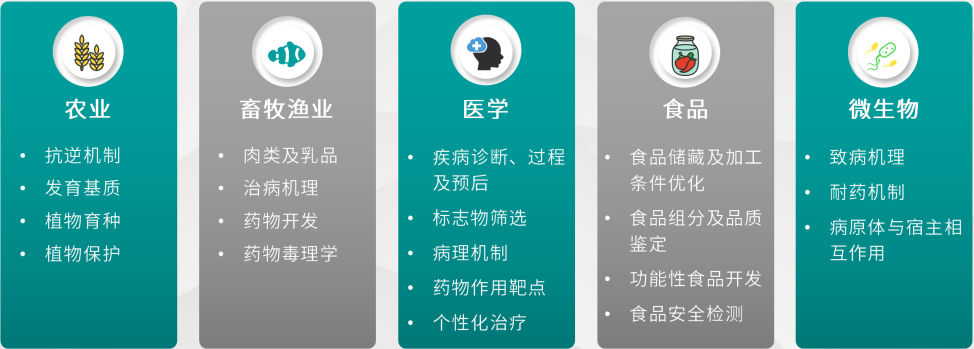 5.png 壹号娱乐